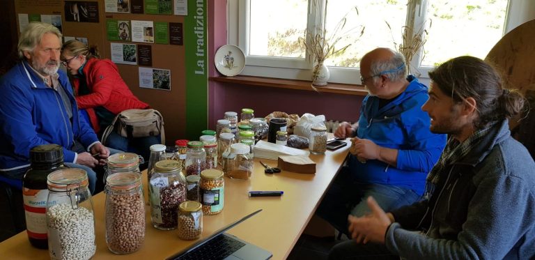 ef0181d6-b635-484e-a8d7-18366ca96223