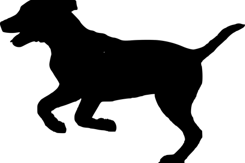 silhouette-3263081__340