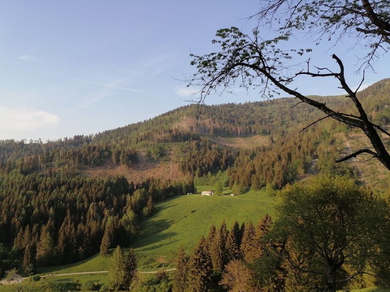 1e36864c-272e-4804-9fa2-91c0ad3e45c2