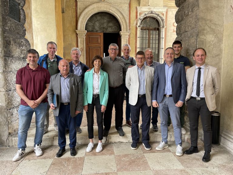 2589e32b-e9ad-4f45-90e1-7e94fcb0b04a