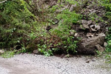 346054067_202240685519503_6923070547605589974_n