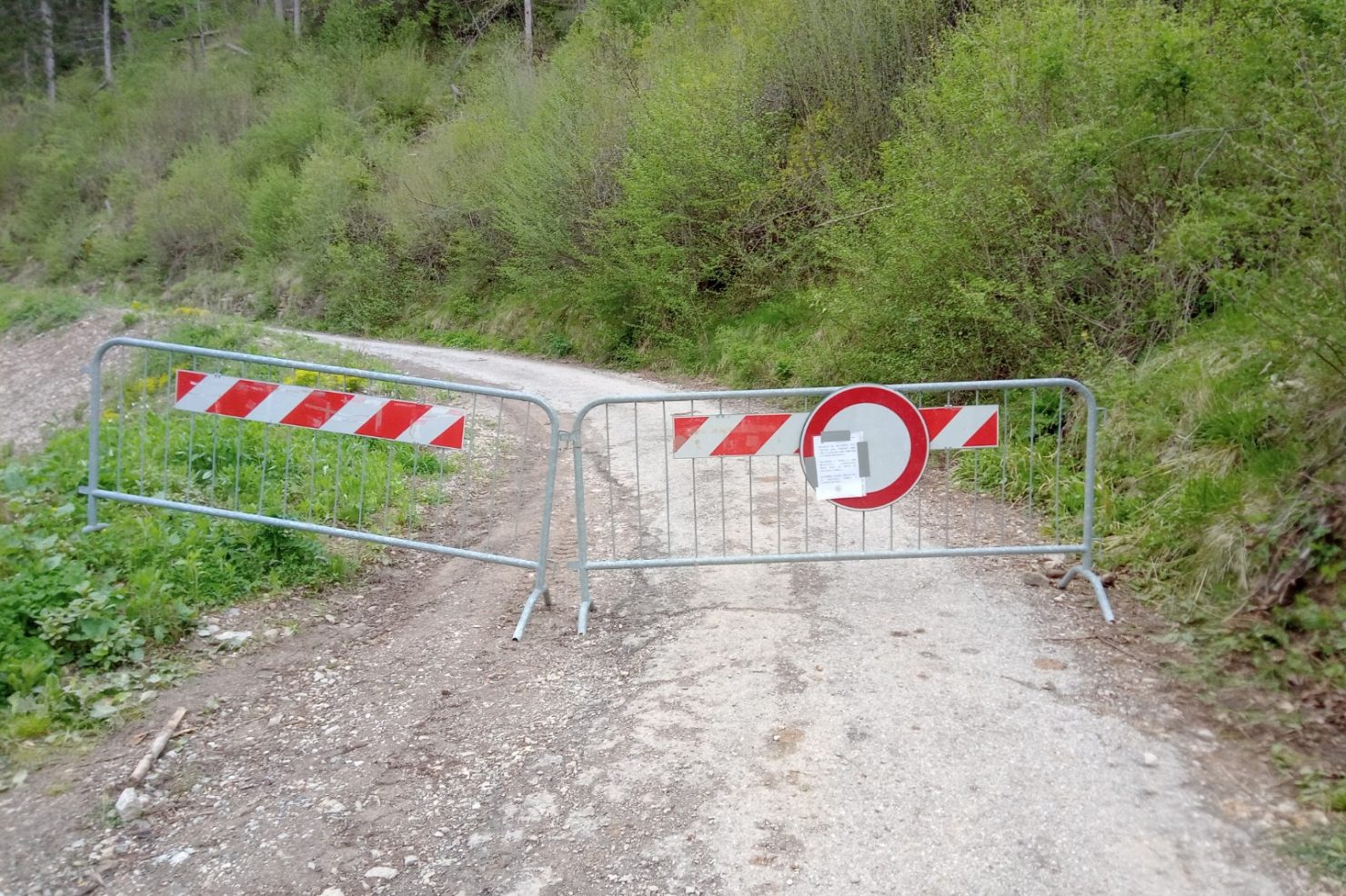 644e3b3b-5591-4a84-8d12-07cde4dcd16f