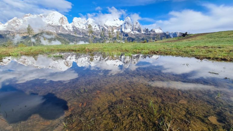 6de0f51f-af4b-4b90-9e44-dbf618bc5141