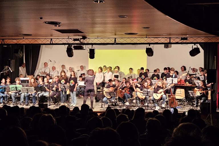 Orchestra scuola media Sedico2