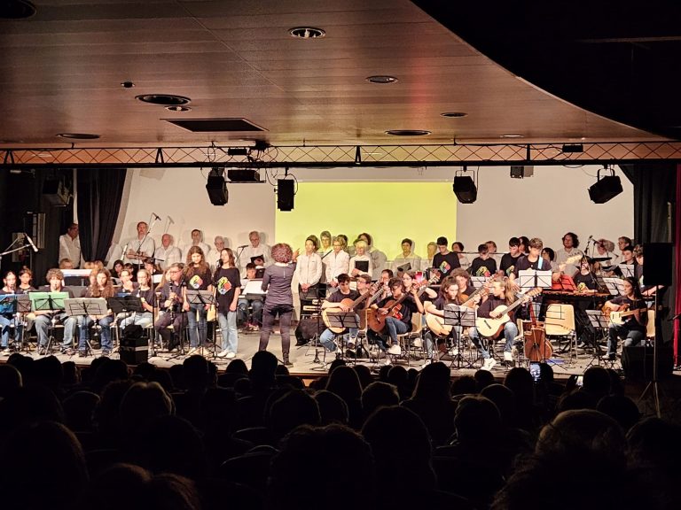 Orchestra scuola media Sedico2