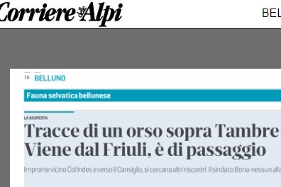 Senza nome
