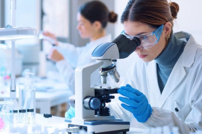 WhatsApp Image 2023-05-01 at 09.32.38