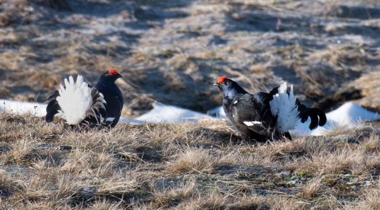 c6f9fa76-05fc-4fd9-9cac-fdf31e0992cd