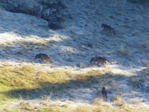 received_10211825072242032-300×225