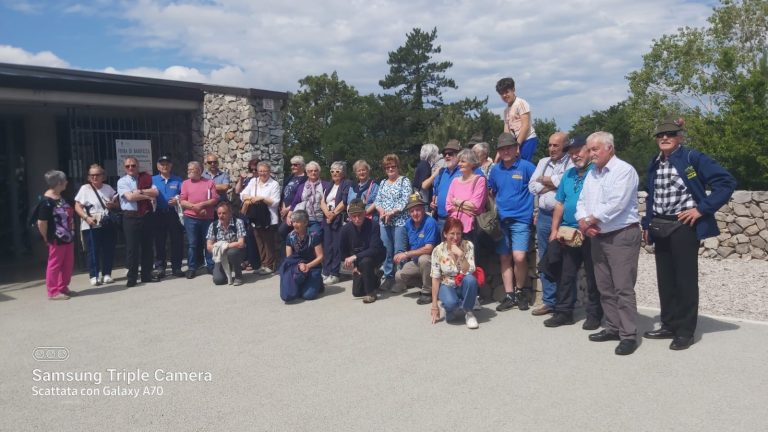 2855fbaa-de69-4987-9f4f-a16111490361