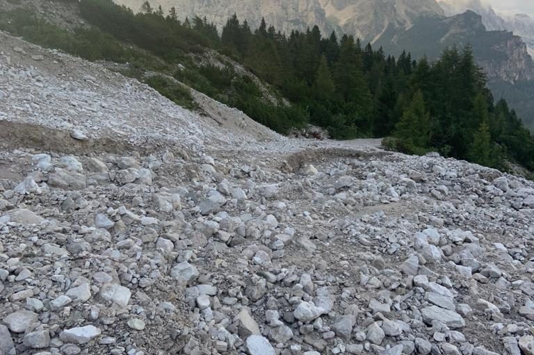 2fe3009a-8413-4c39-9ef4-eca4337a6624