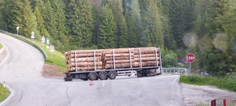 3bf9344c-9528-4cd2-bec0-f96200755a06