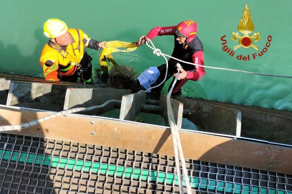 6ec7a55b-62a4-443d-98ec-2d78598abf23