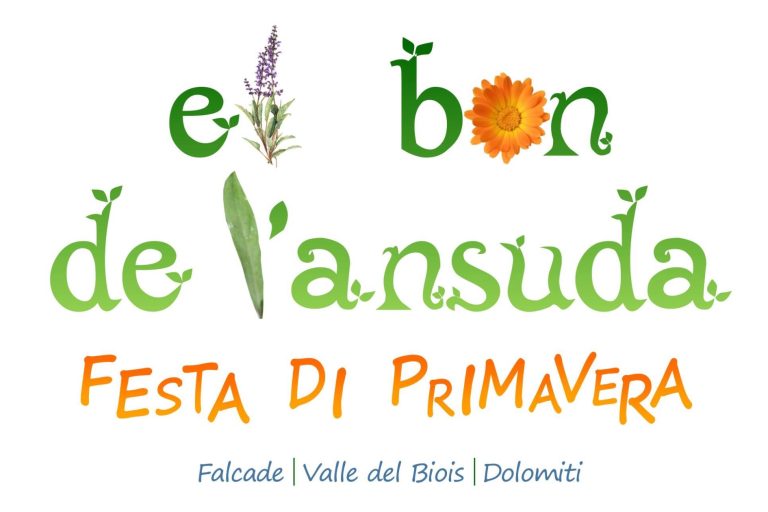 EL BON DE L’ANSUDA