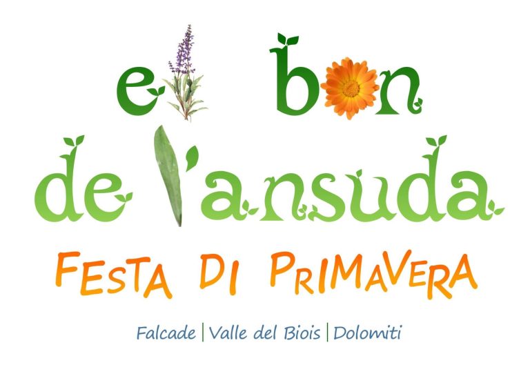 EL BON DE L’ANSUDA