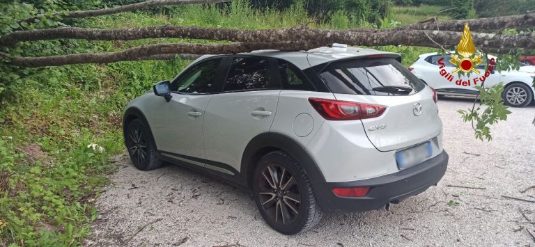 d3852a19-b55e-4859-9d55-f23f6ace3968