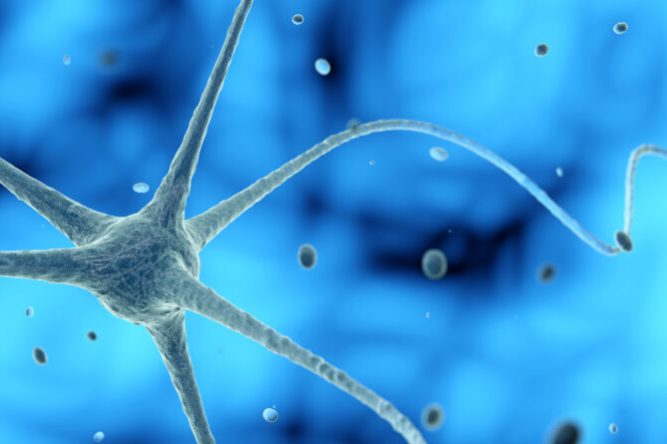 nerve cell in a blue background, 3D illustration