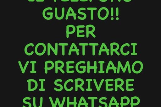 359405544_749527177178286_3117779544290213032_n