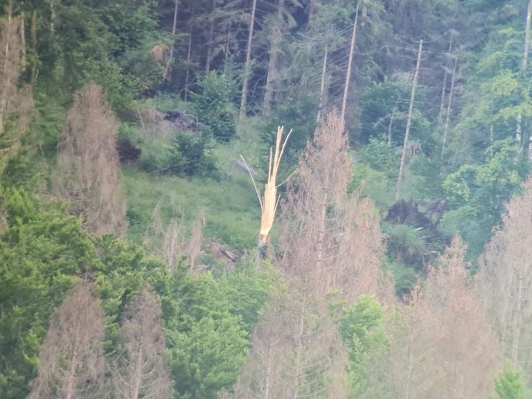 3eb50026-daa7-44c2-8e5e-7417e77be8af