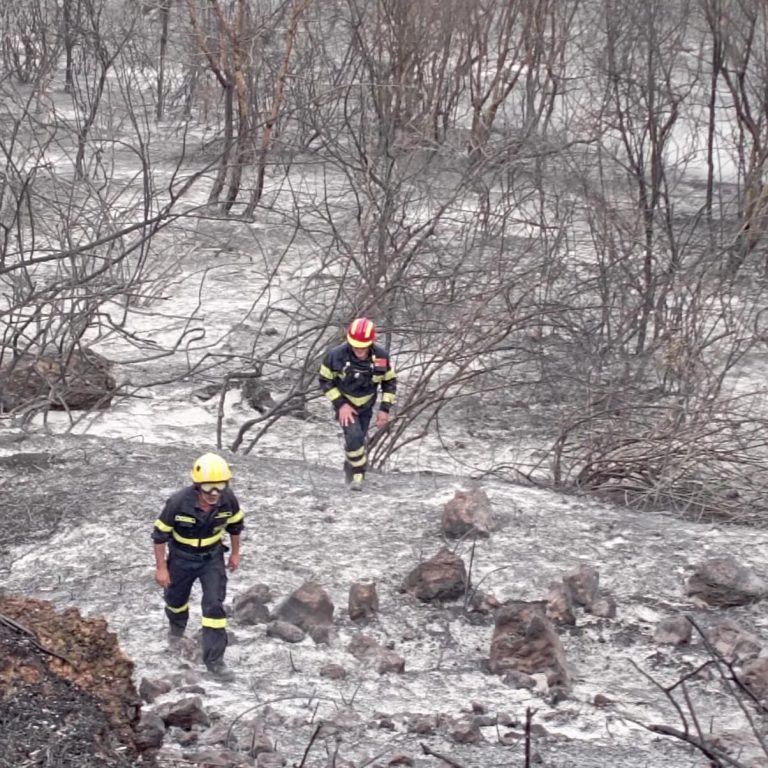 4d646f22-ebfa-401e-bd6e-2ac4fc805194