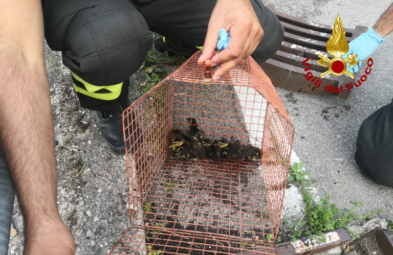 5b3caba3-ae28-4626-a691-d34e0c5ba7fd-1