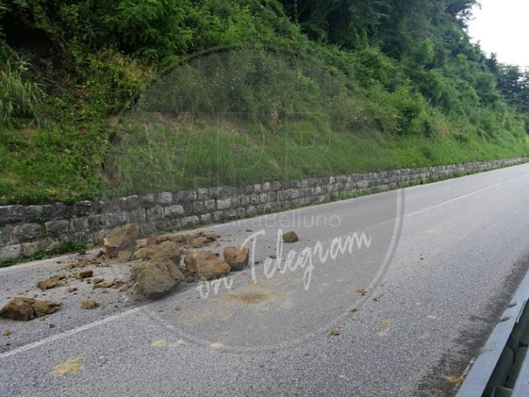 5eee06dd-8d5e-4b51-9763-c67aab8f4ed4