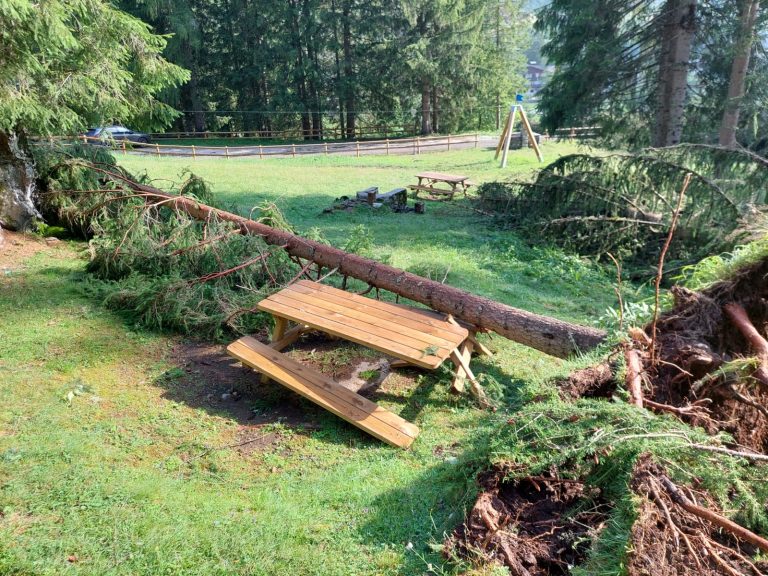 91287013-4377-4e2b-b099-ea6ea2094ad1