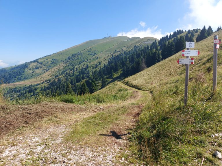 Pulizia sentieri Nevegal 16 luglio (2)