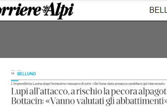 Senza nome