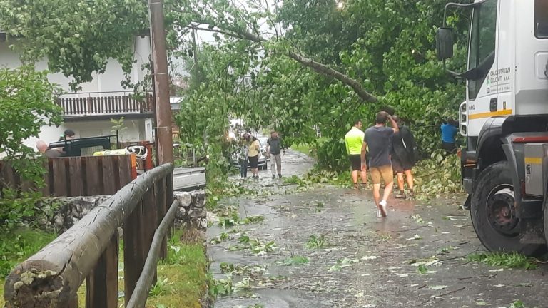 c410ffb6-8ca6-4998-b713-54fc4b263576