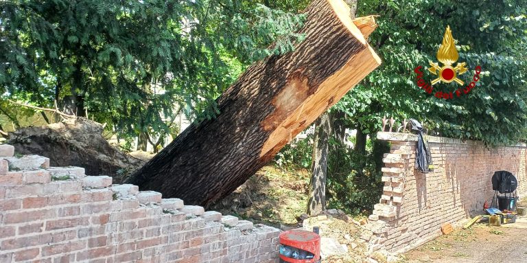 d22f2bcd-7187-4aa5-8f9d-8d1b463106fb