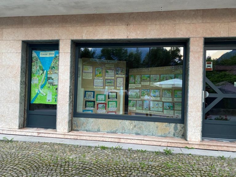 f46c2b68-65aa-4b40-b732-a4bbe28f78d0