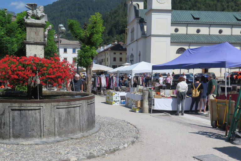 1-Mercato AGORDO 12 .8