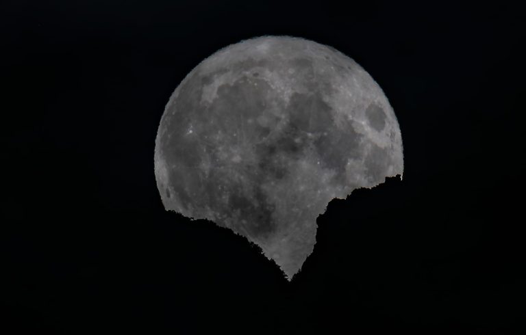 25edd964-5053-4983-81eb-0cb72164ff8e