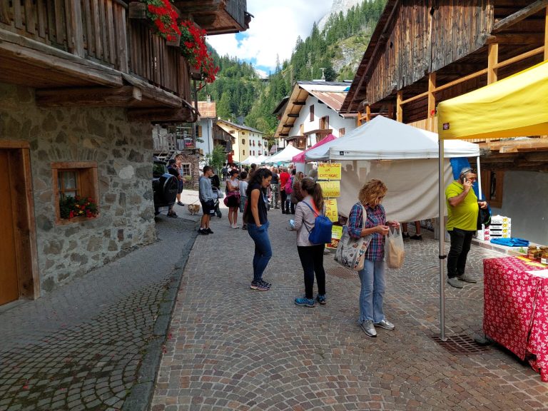 29185bdb-a3dc-4c0a-9ecc-2916c5690bc4