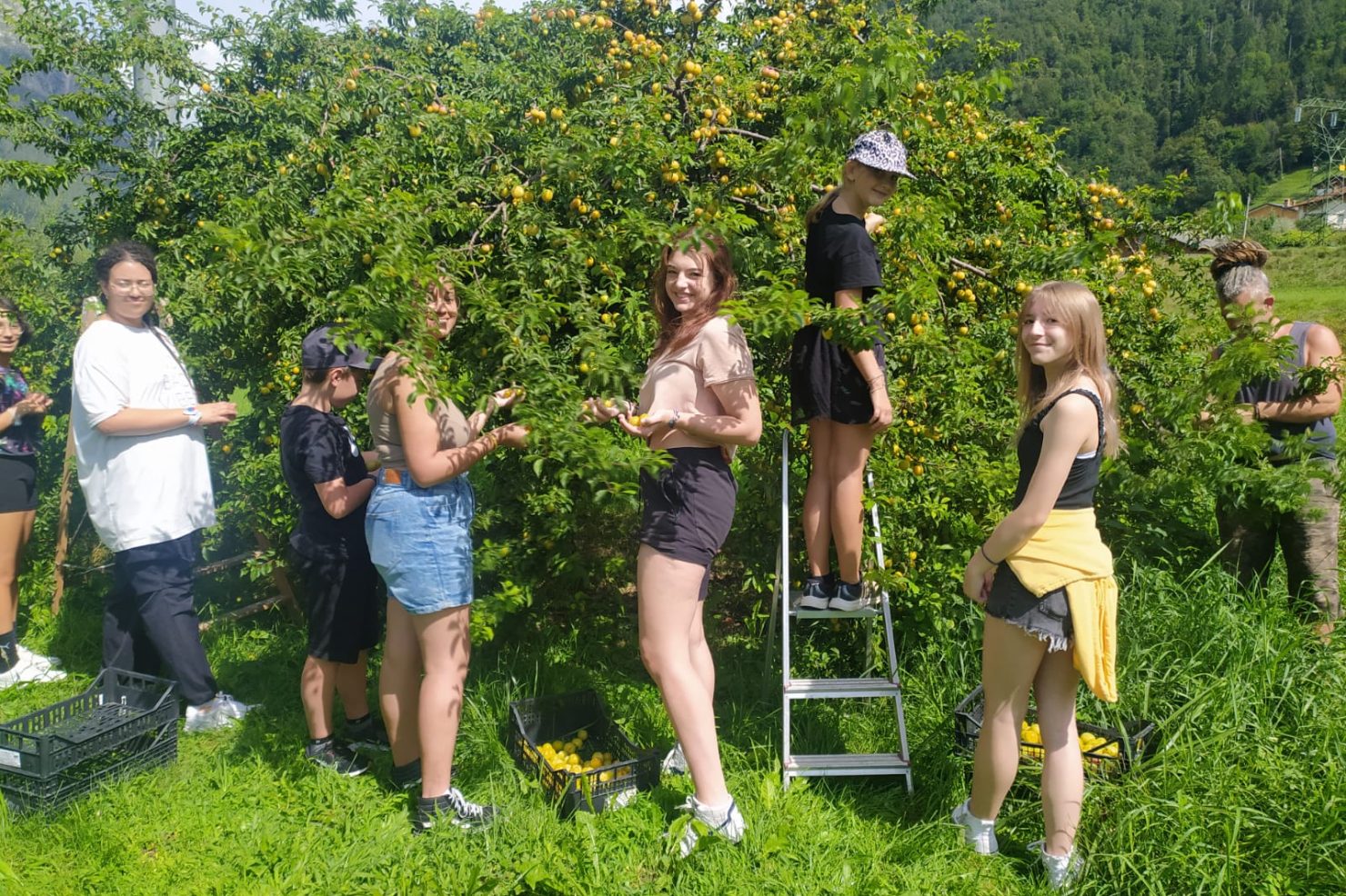 623f6a8e-1799-4e8b-a45f-f0fa8184e922