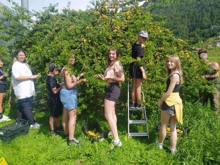 623f6a8e-1799-4e8b-a45f-f0fa8184e922