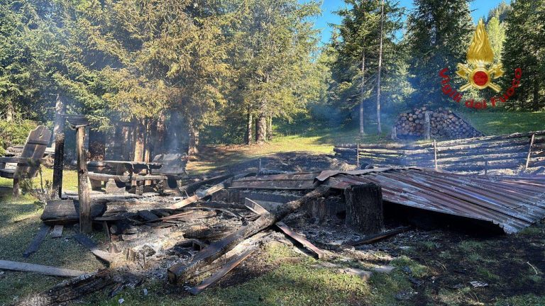 7446135d-daec-4af7-801a-fa0be229c4a7