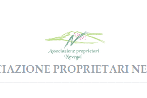 Senza nome