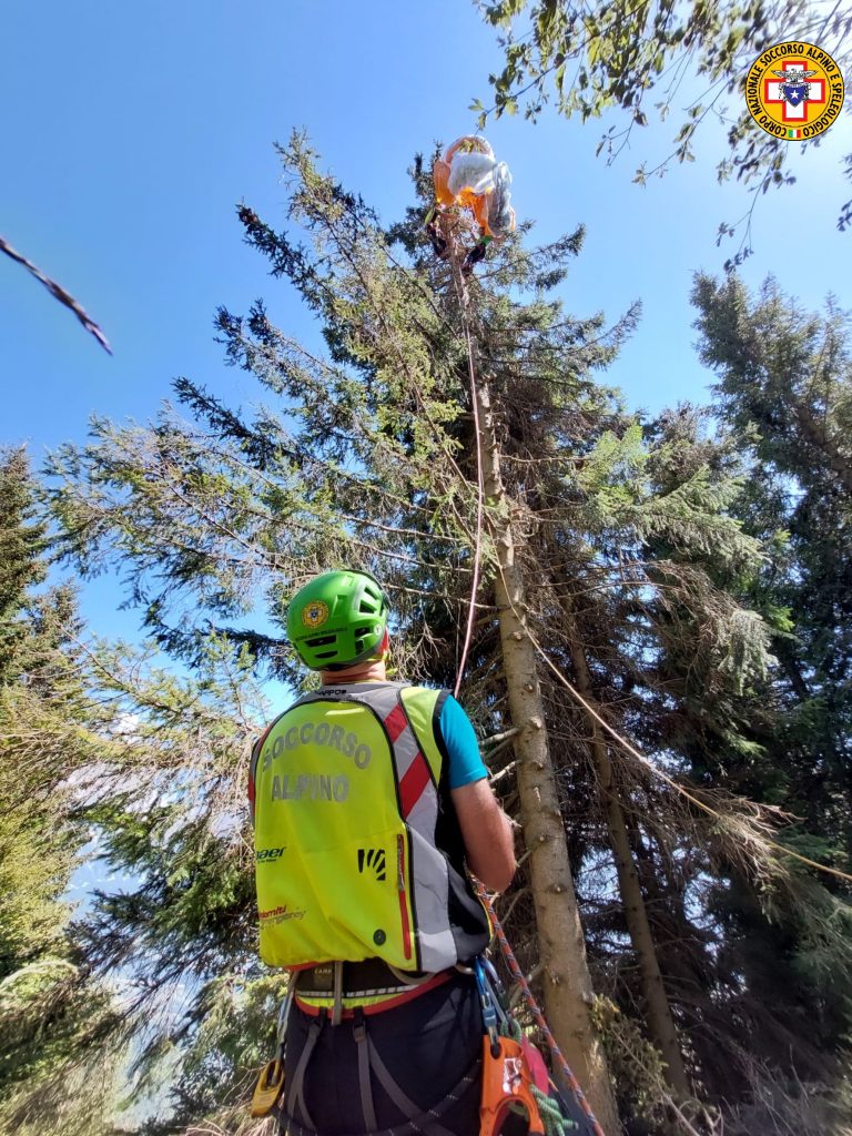 Watermark_20230814_153525_264