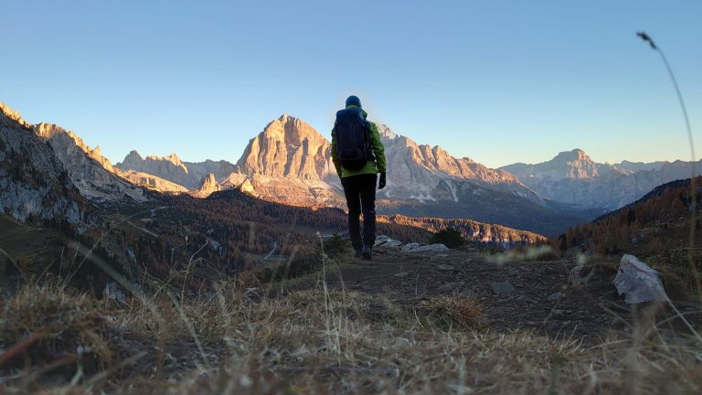 ad788130-3359-495d-8e57-9619d32d41a8