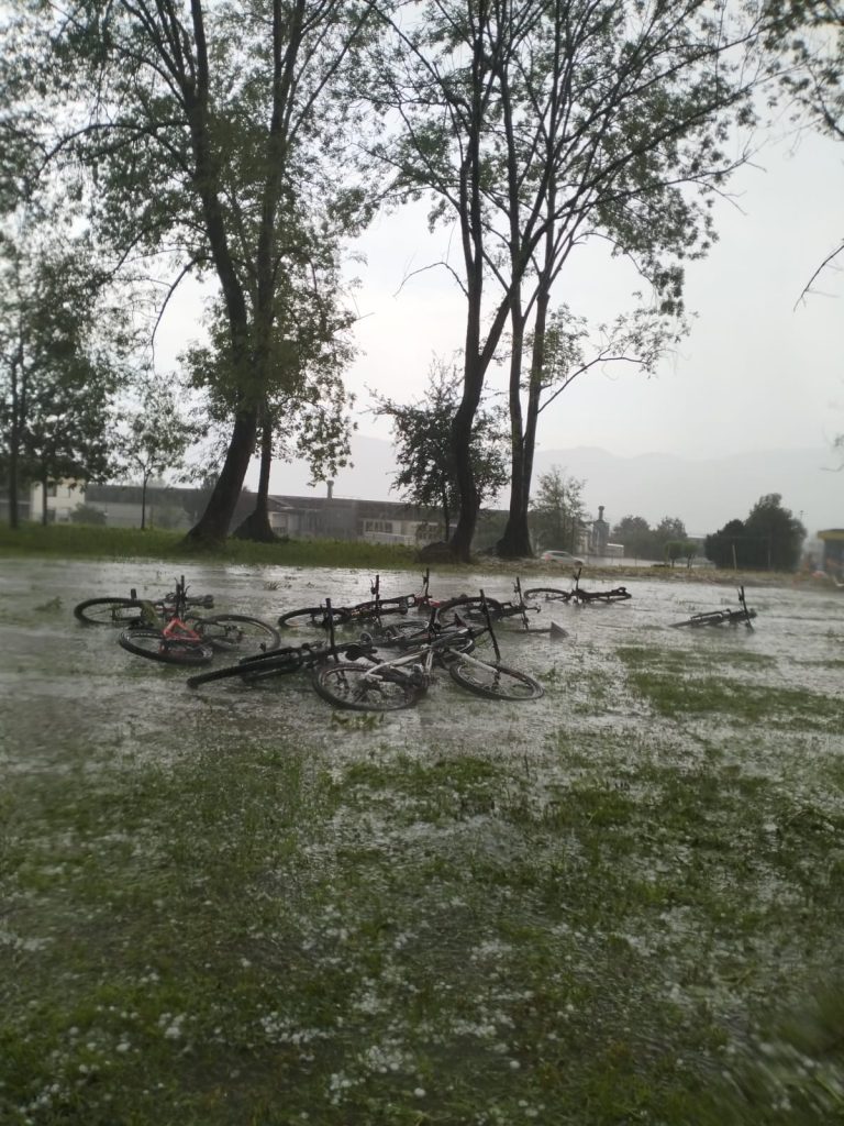 d3401d5d-2b75-49b5-a6ea-80a96c5cbe0b