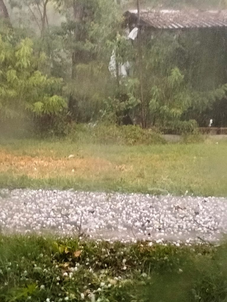 eb90a43c-dc79-42ec-bfc4-0b7255484ed3