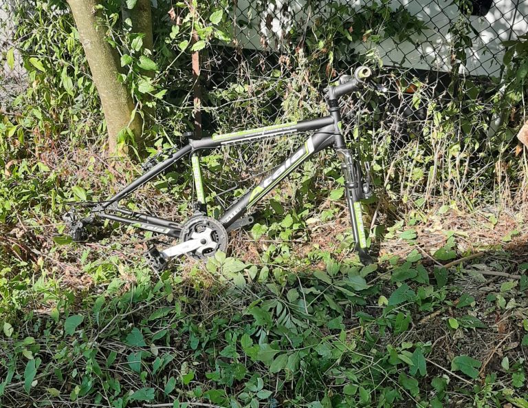 f3625ba3-f6f7-46a8-b87c-12c5e77a1fab