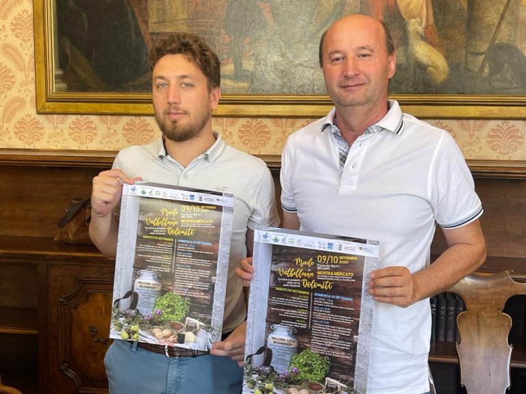 0135612f-3eb9-4dca-b528-1bc664df5665