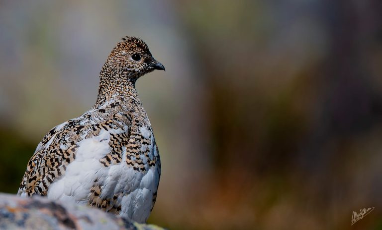 20058d35-6e55-4964-9438-6ce93a64ba88