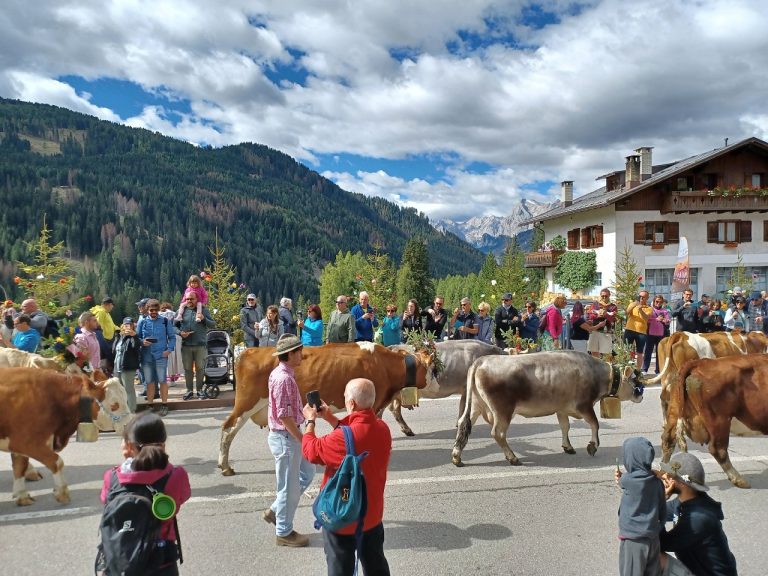 Desmontegada 2022 sfilata