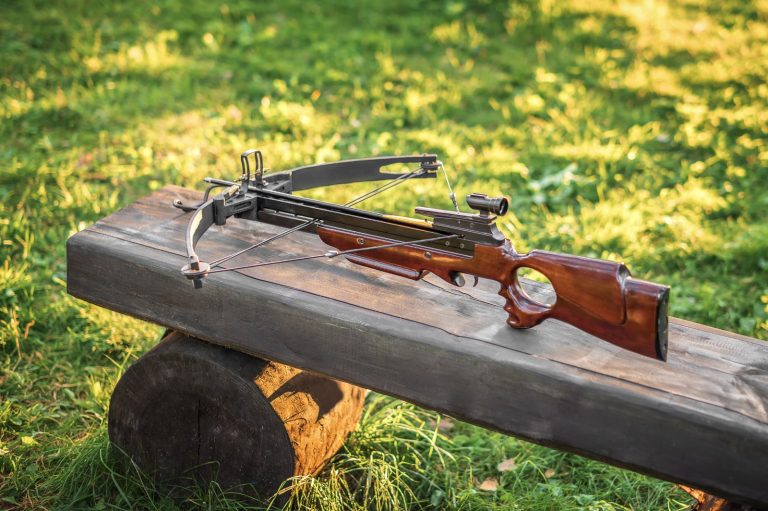 1a294b24-fd9b-44bf-b3d1-79677ce460e8