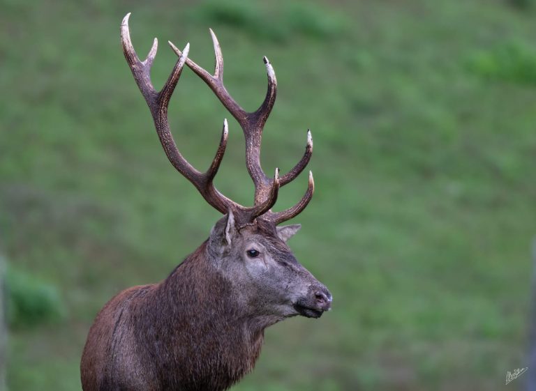 1cbdd7c0-a7c6-459a-a2cc-f2b9e86ec78c