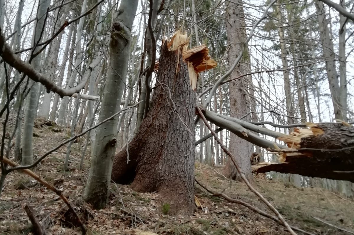 316d75be-02d8-4dc0-8f75-bcc67c09caae